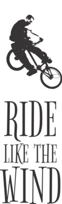 Ride like the wind   03
