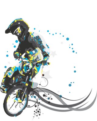 Bicycle  13