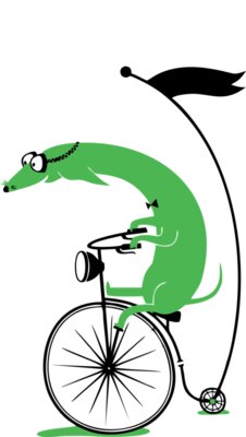 Bicycle   05