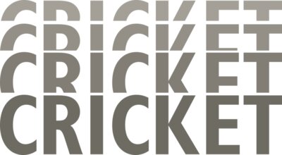 Cricket - Black