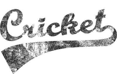 Cricket