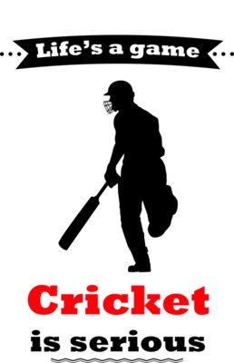 Cricket is Serious